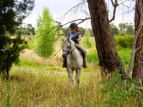 Somerfield Farm | 100 Ingersoll Rd, Pearcedale VIC 3912, Australia | Phone: 0414 273 364