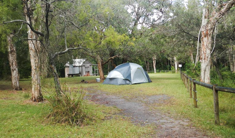 Kylies Hut walk-in campground | campground | Kylies Hut Trail, Crowdy Bay National Park NSW 2443, Australia | 0265885555 OR +61 2 6588 5555