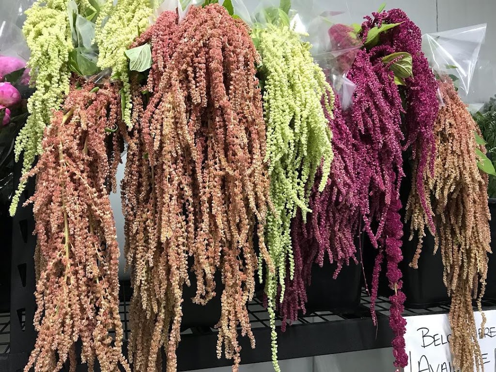 Just Flowers | 1/54 Browns Rd, Kingston TAS 7050, Australia | Phone: (03) 6227 2404