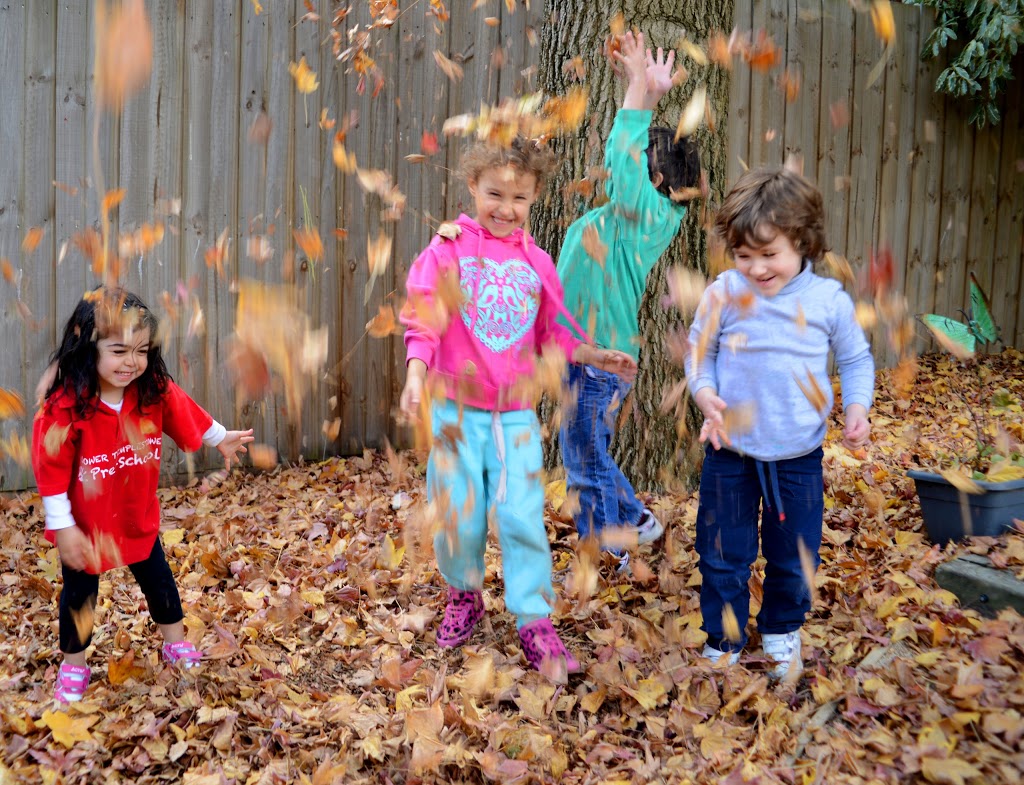 Lower Templestowe Preschool | 107 Swanston St, Templestowe Lower VIC 3107, Australia | Phone: (03) 9850 6142