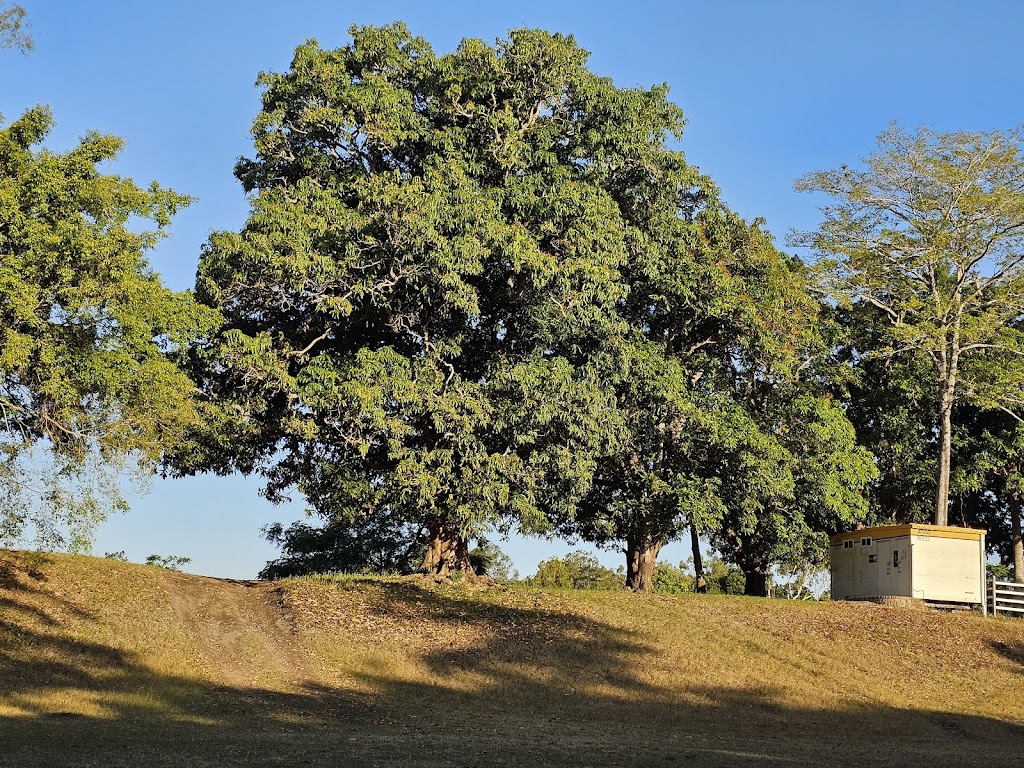 Cattle Camp, Sarina Qld | 182 W Plane Creek Rd, Sarina QLD 4737, Australia | Phone: 0488 546 370