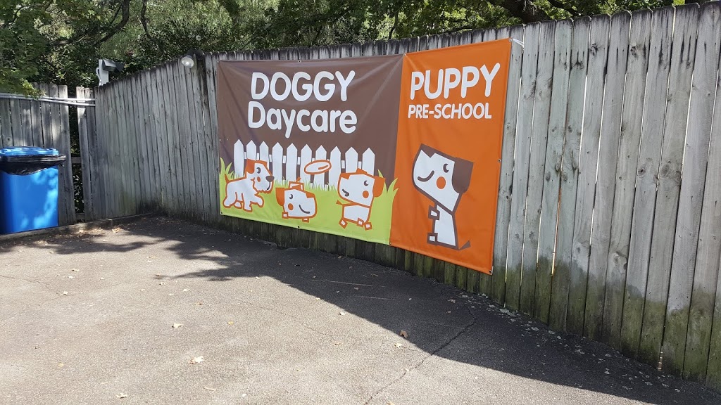 Dr Paws North Ryde Veterinary Clinic, Doggy Daycare and Cattery | pharmacy | 384 Lane Cove Rd, North Ryde NSW 2113, Australia | 0298881833 OR +61 2 9888 1833