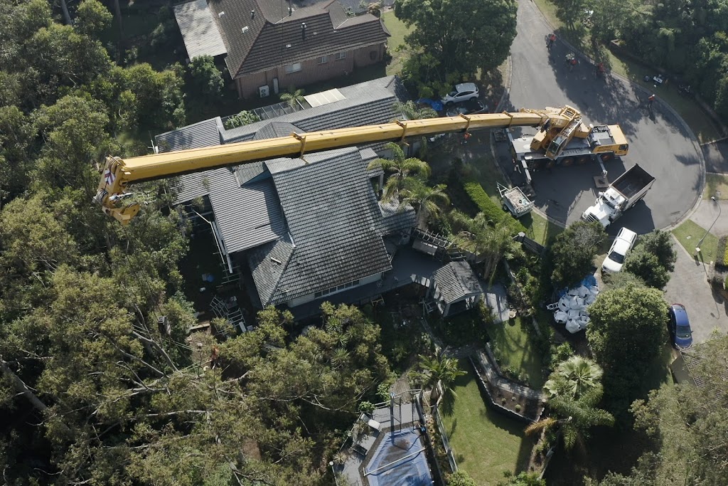 Friendly Freds Tree Services | 299 Cawdor Rd, Cawdor NSW 2570, Australia | Phone: (02) 4655 1133