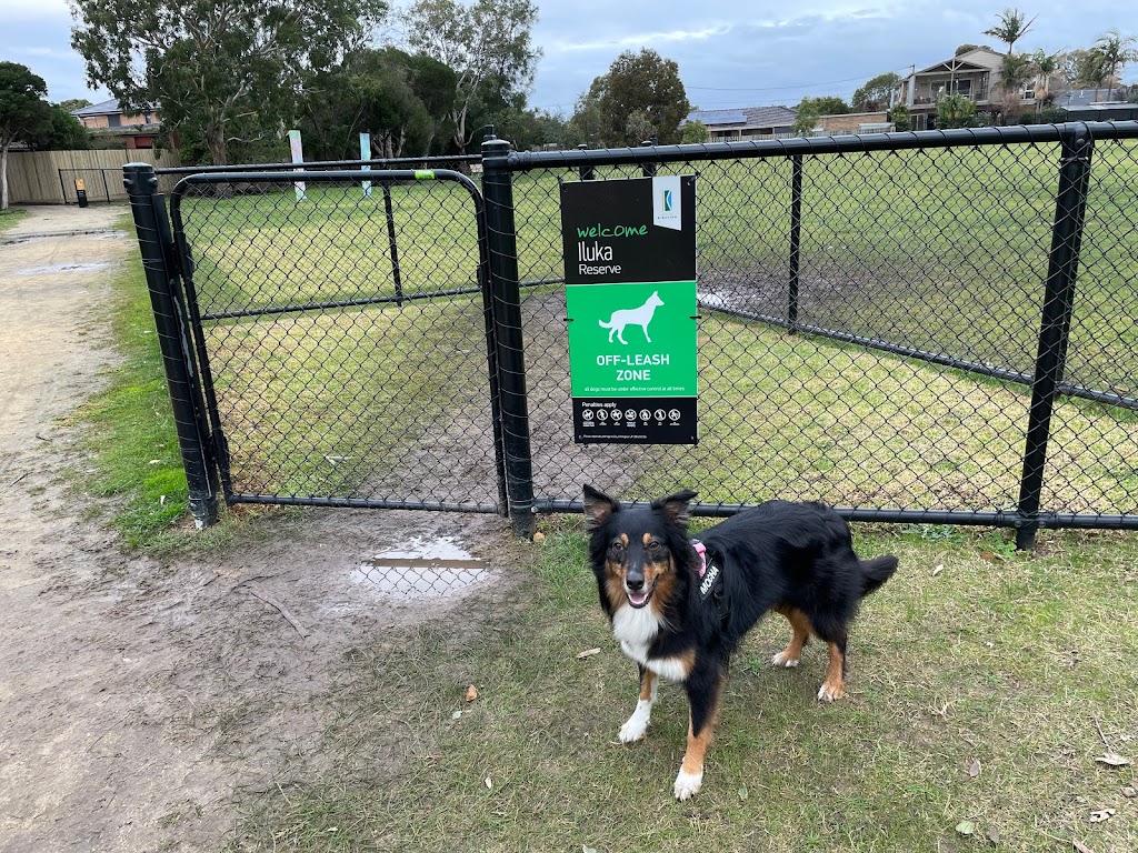 Iluka Reserve Fenced Dog Park | park | 5 Iluka Ave, Aspendale VIC 3195, Australia | 0413231485 OR +61 413 231 485