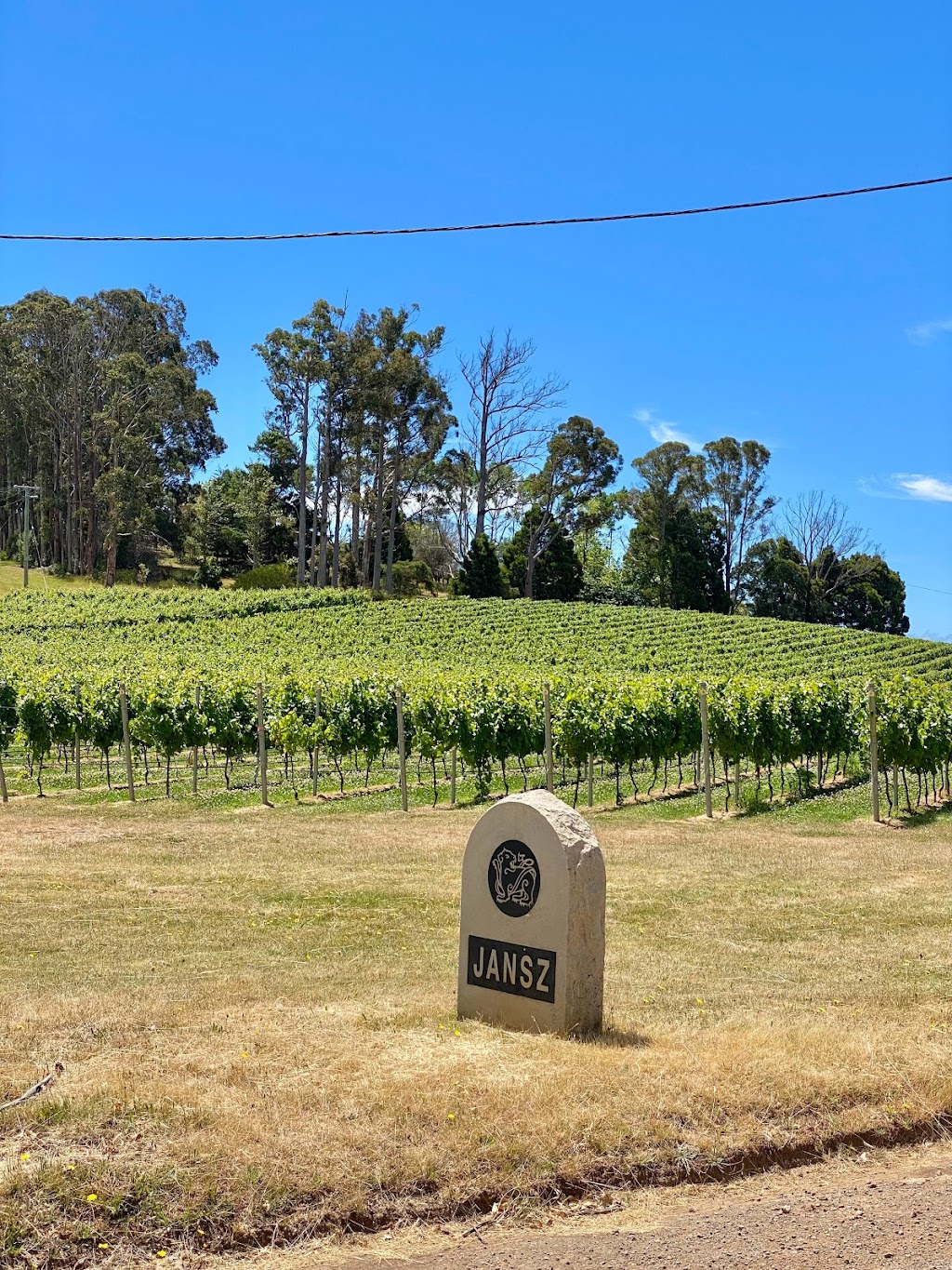 Jansz Tasmania | tourist attraction | 1216B Pipers Brook Rd, Pipers Brook TAS 7254, Australia | 0363827066 OR +61 3 6382 7066