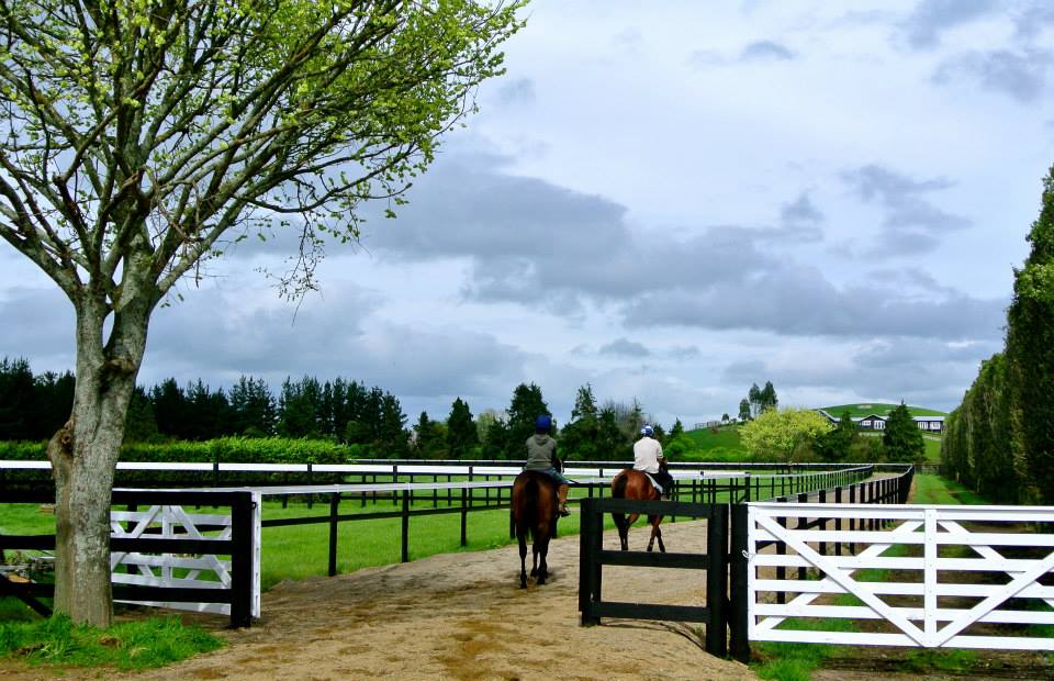 Equine Fencing Australia | store | 233 Broadhurst Ave, Reservoir VIC 3073, Australia | 1800624686 OR +61 1800 624 686