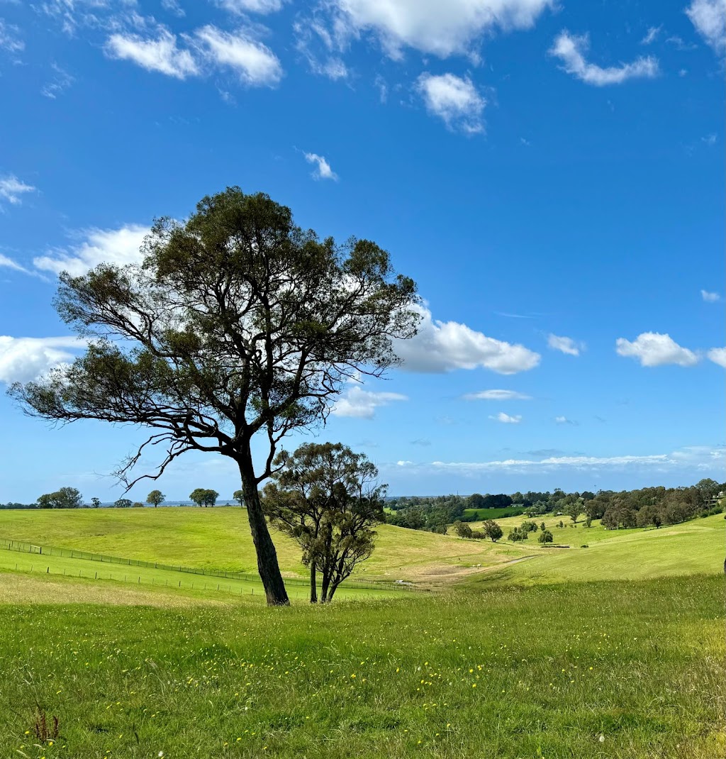 Wy Yung Acres | 30 Clifton W Rd, Wy Yung VIC 3875, Australia | Phone: 0439 998 648 Wy Yung Acres | 30 Clifton W Rd, Wy Yung VIC 3875, Australia | Phone: 0439 998 648