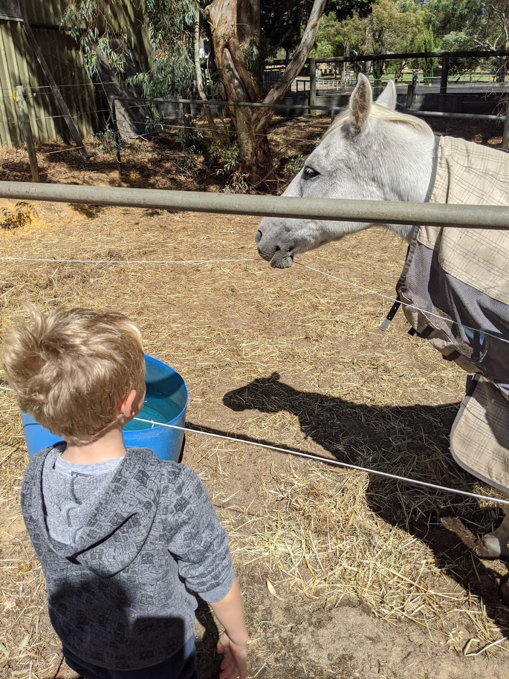 Centura Riding School | 48 Franklin Rd, Jandabup WA 6077, Australia | Phone: 0400 233 621