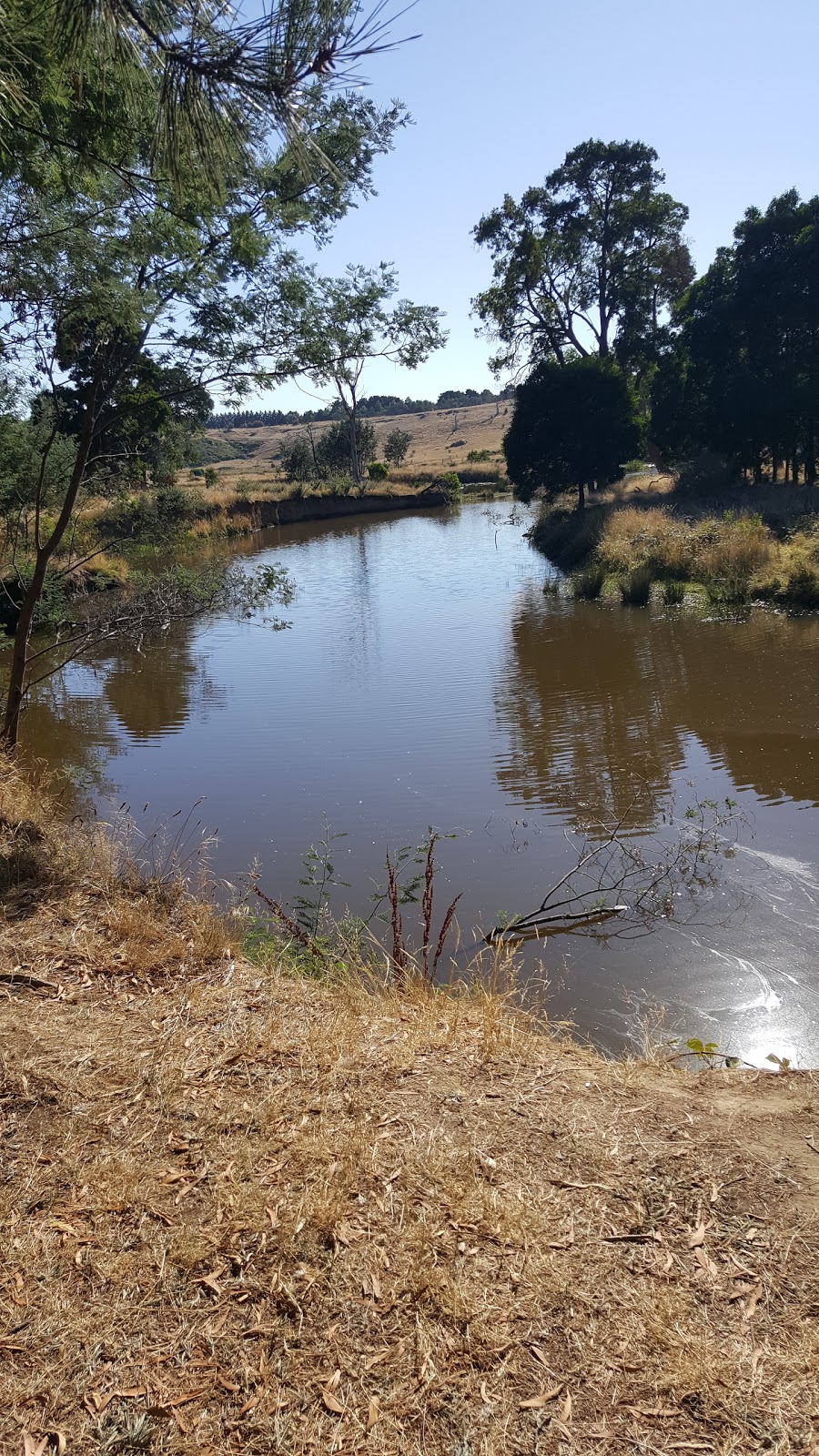 Upper Coliban Reservoir | 1065 Kyneton-Springhill Rd, Tylden VIC 3444, Australia | Phone: 1300 363 200