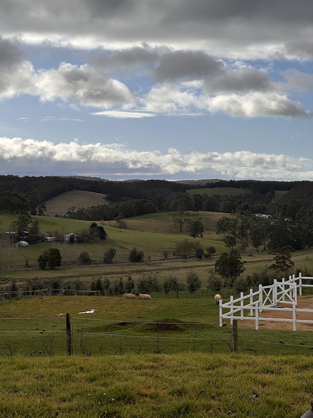 Scotch Hill Truffle Farm | 119 McDougal Rd, Neerim South VIC 3831, Australia | Phone: 0417 426 427