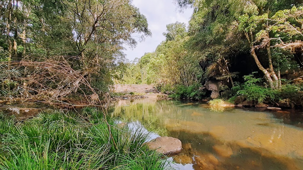 Whian Whian Falls Recreational Area | 112 Whian Whian Rd, Dunoon NSW 2480, Australia