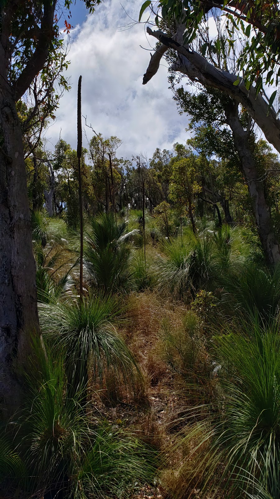 Grasstree lookout | museum | Australia, Queensland, Mount Archer, Mountain archer, Rockhampton邮政编码: 4701