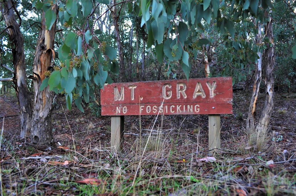 Mount Gray Walking Track | park | Bald Ridge Rd, Abercrombie River NSW 2795, Australia | 1300072757 OR +61 1300 072 757