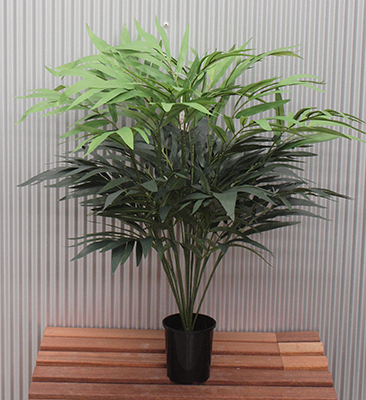 Greenery Imports | 11/2187 Castlereagh Rd, Penrith NSW 2750, Australia | Phone: (02) 4721 4918