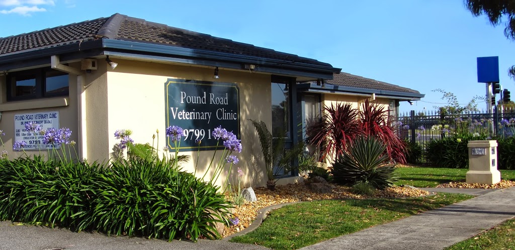 Pound Road Veterinary Clinic | veterinary care | 8 Pound Rd, Hampton Park VIC 3976, Australia | 0397991479 OR +61 3 9799 1479