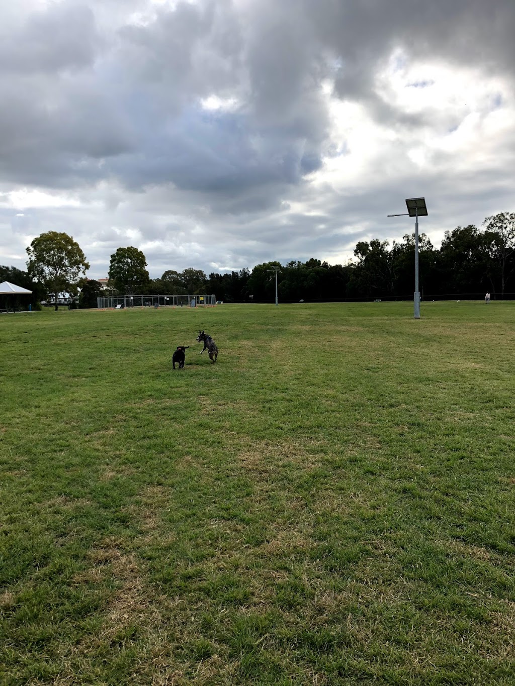 Elanora Park Off-Leash Area | 74a Wynnum North Esplanade, Wynnum QLD 4178, Australia