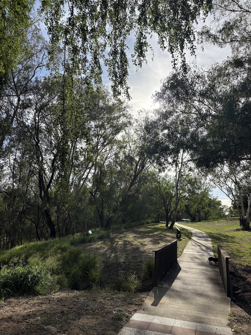 SURAT STUDIOS | Burrowes St, Surat QLD 4417, Australia | Phone: 0437 265 310