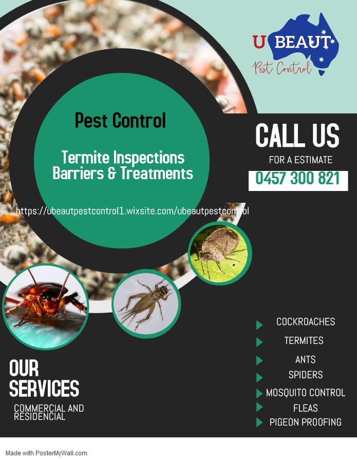 Ubeaut Pest Control | Kordan Blvd, Raceview QLD 4305, Australia | Phone: 0457 300 821