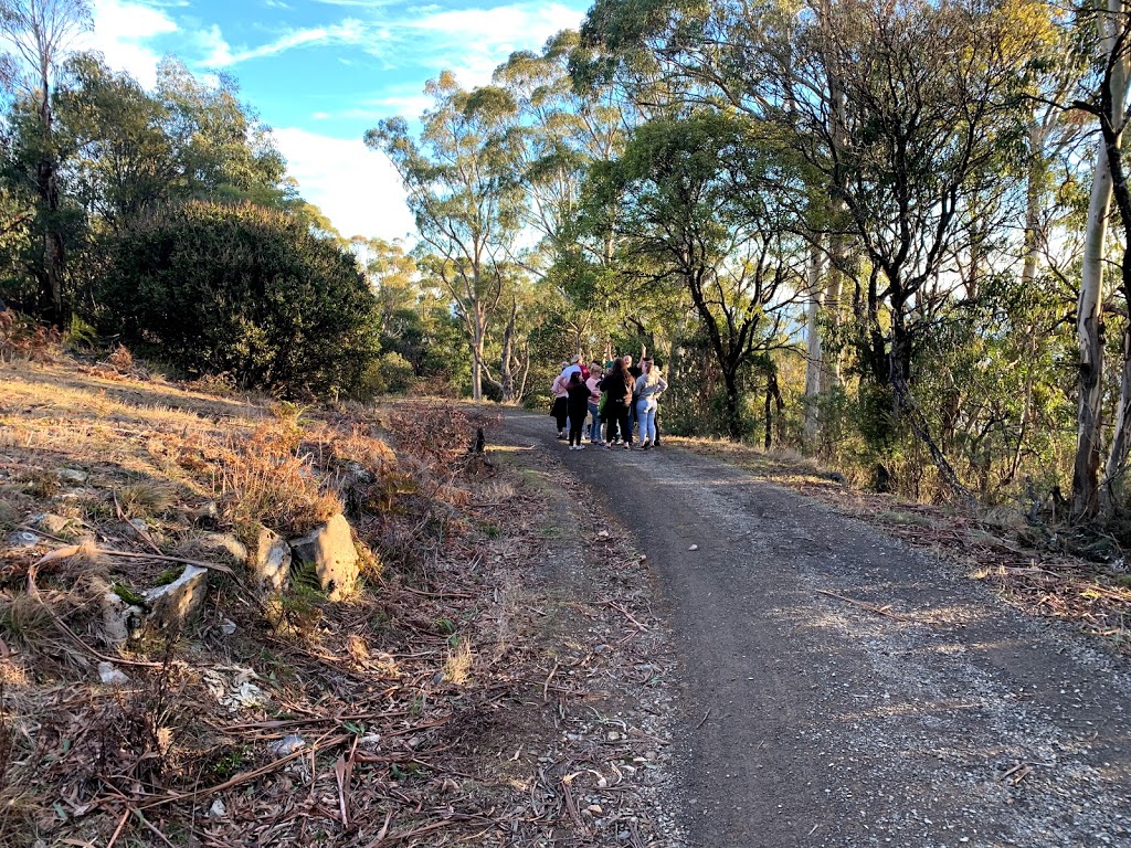 Ron & Dolly’s Place | Rd 10, Toolangi VIC 3777, Australia