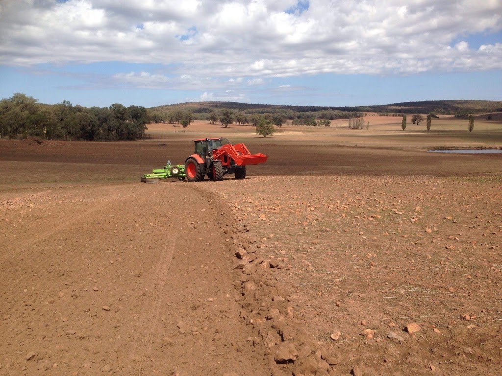 Washbrook Rock Picking | Hopefield, Grenfell NSW 2810, Australia | Phone: 0488 118 138