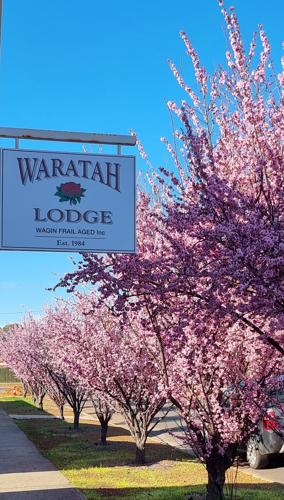 Waratah Lodge Wagin | health | 6 Arnott St, Wagin WA 6315, Australia | 0898611755 OR +61 8 9861 1755