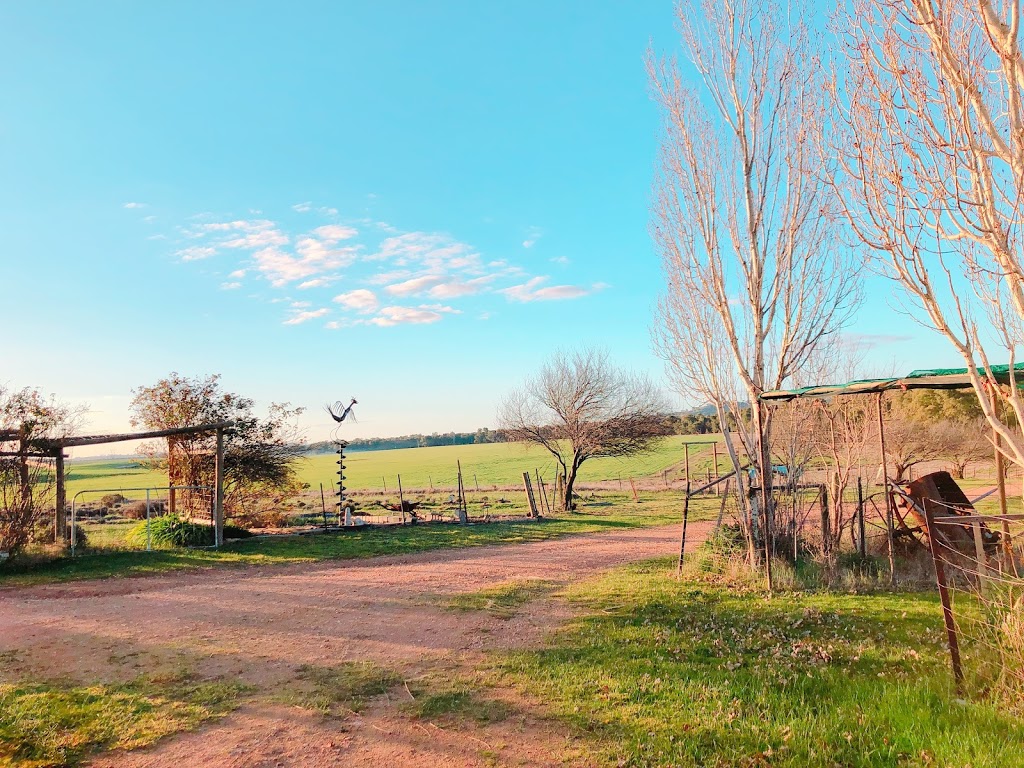 Rustique Lavender Farm | 7985 Tumbarumba Rd, Book Book NSW 2650, Australia | Phone: (02) 6928 1117