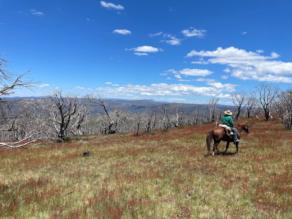 Australian Saddle Safaris | Snowy Mountains Hwy, Adaminaby NSW 2629, Australia | Phone: 0428 130 093