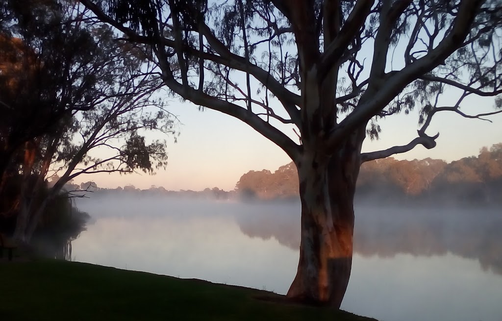 The Bert Dix Memorial Park | park | Lock 5 Rd, Paringa SA 5340, Australia