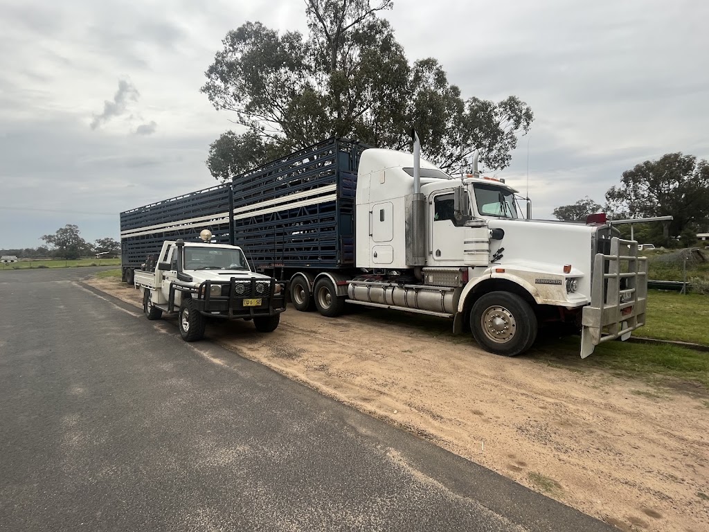 Callo’s Mechanical | Warrego Hwy, Dulacca QLD 4425, Australia | Phone: 0423 620 198