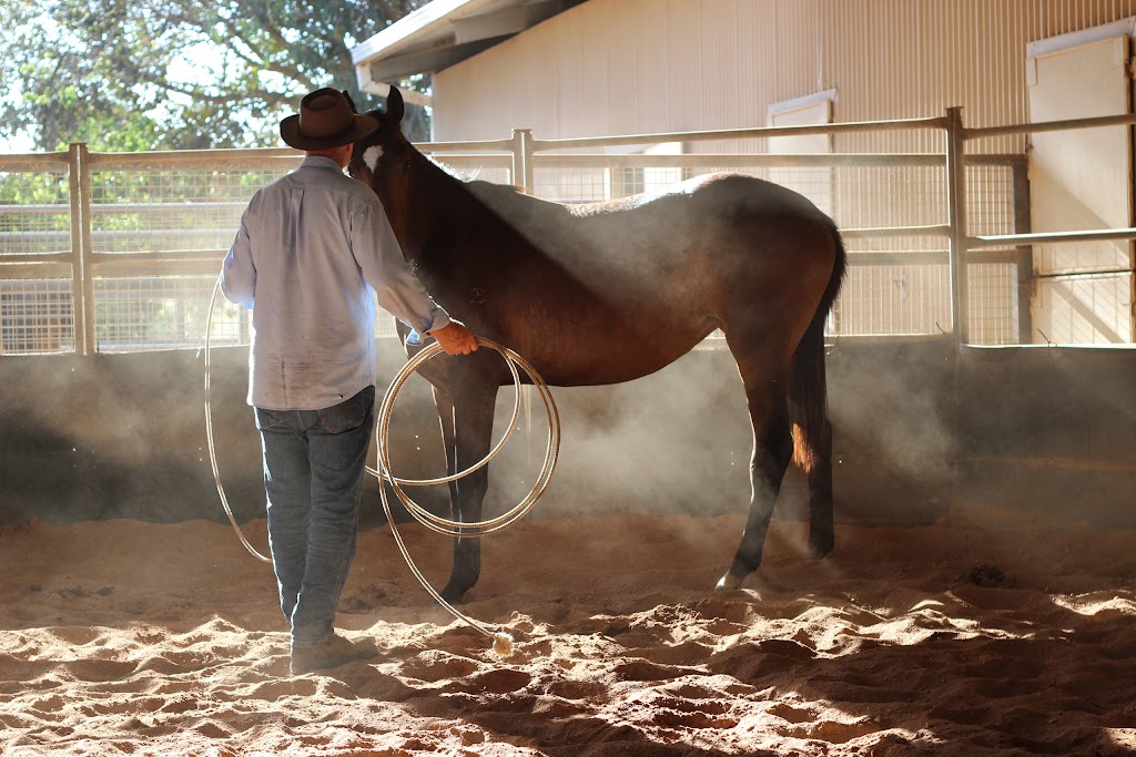 Sunninghill Equestrian Centre |  | 3010 Riley Rd, Stoneville WA 6081, Australia | 0409102021 OR +61 409 102 021