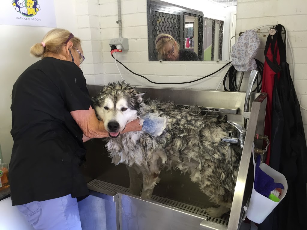 Soapy PAUSE for Dogs | 107 Ocean St, Dudley NSW 2290, Australia | Phone: (02) 4944 7496