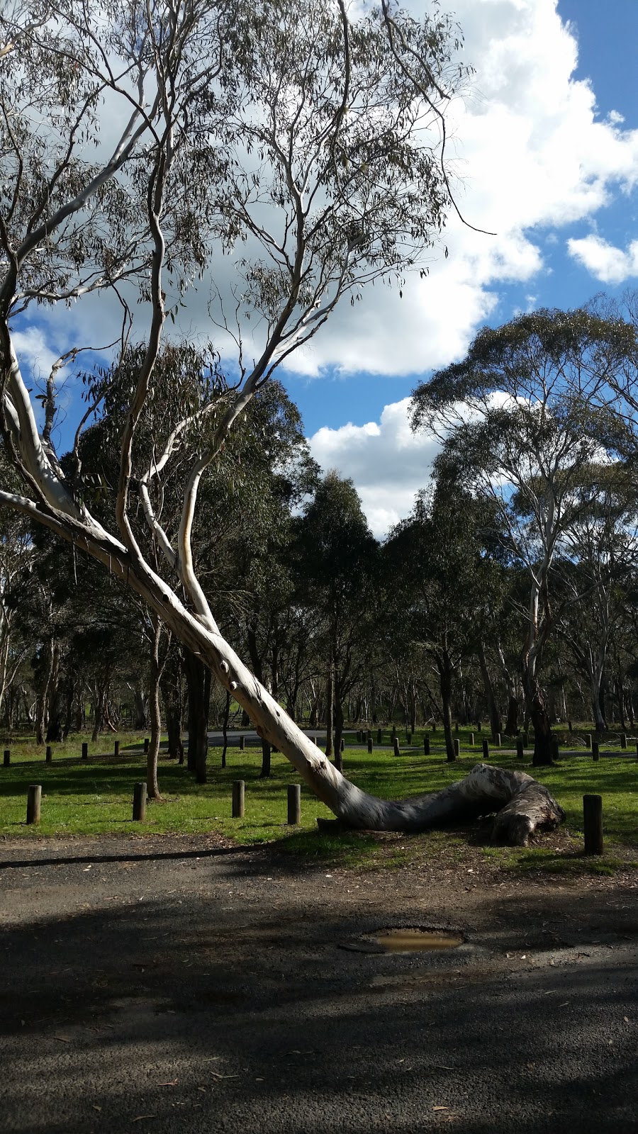 Guy Fawkes River National Park | The Gulf NSW 2365, Australia | Phone: (02) 6657 2309