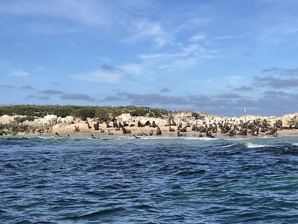 Limestone Coast Boat Tours | Lake Butler Marina, Lake Rd, Robe SA 5276, Australia | Phone: 0427 672 961