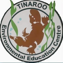Tinaroo EEC - Black Gully Campus | school | Black Gully Rd, Tinaroo QLD 4872, Australia | 0740958382 OR +61 7 4095 8382