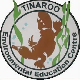 Tinaroo EEC - Black Gully Campus | Black Gully Rd, Tinaroo QLD 4872, Australia | Phone: (07) 4095 8382