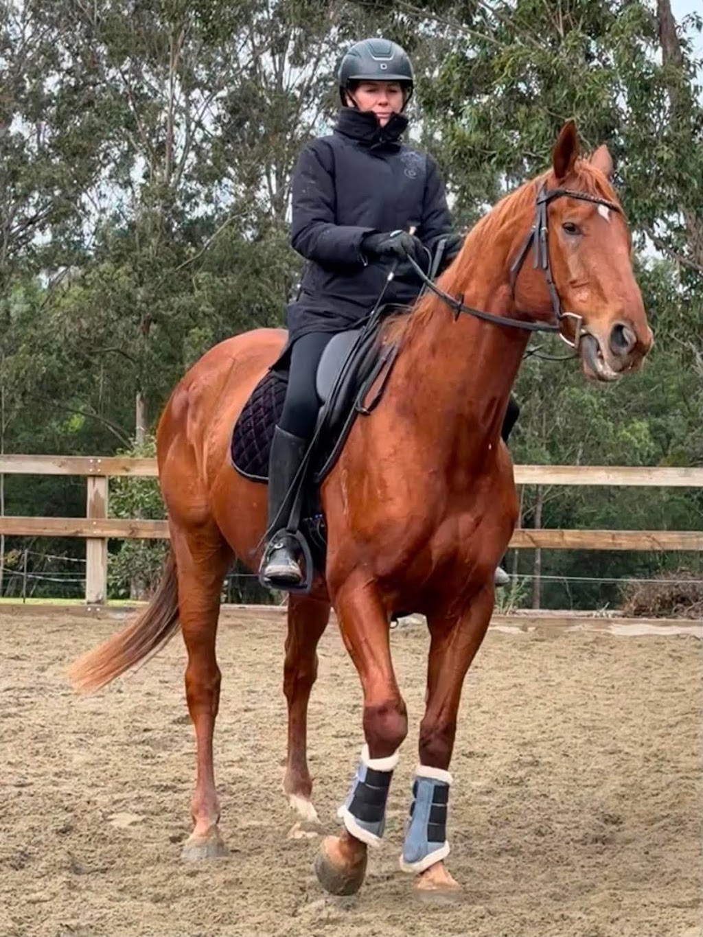 Gunyah Park Equestrian | 52 Parma Rd, Falls Creek NSW 2540, Australia | Phone: 0412 416 899