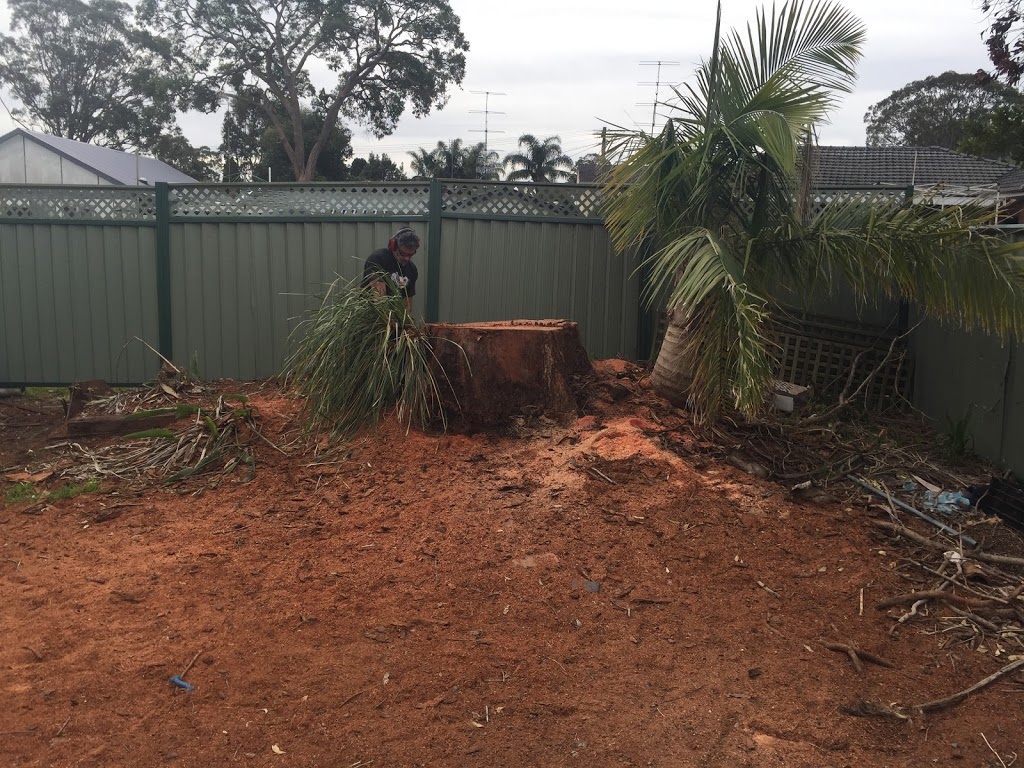 STUMPED STUMP GRINDING |  | 26 Emu Dr, San Remo NSW 2262, Australia | 0410446301 OR +61 410 446 301