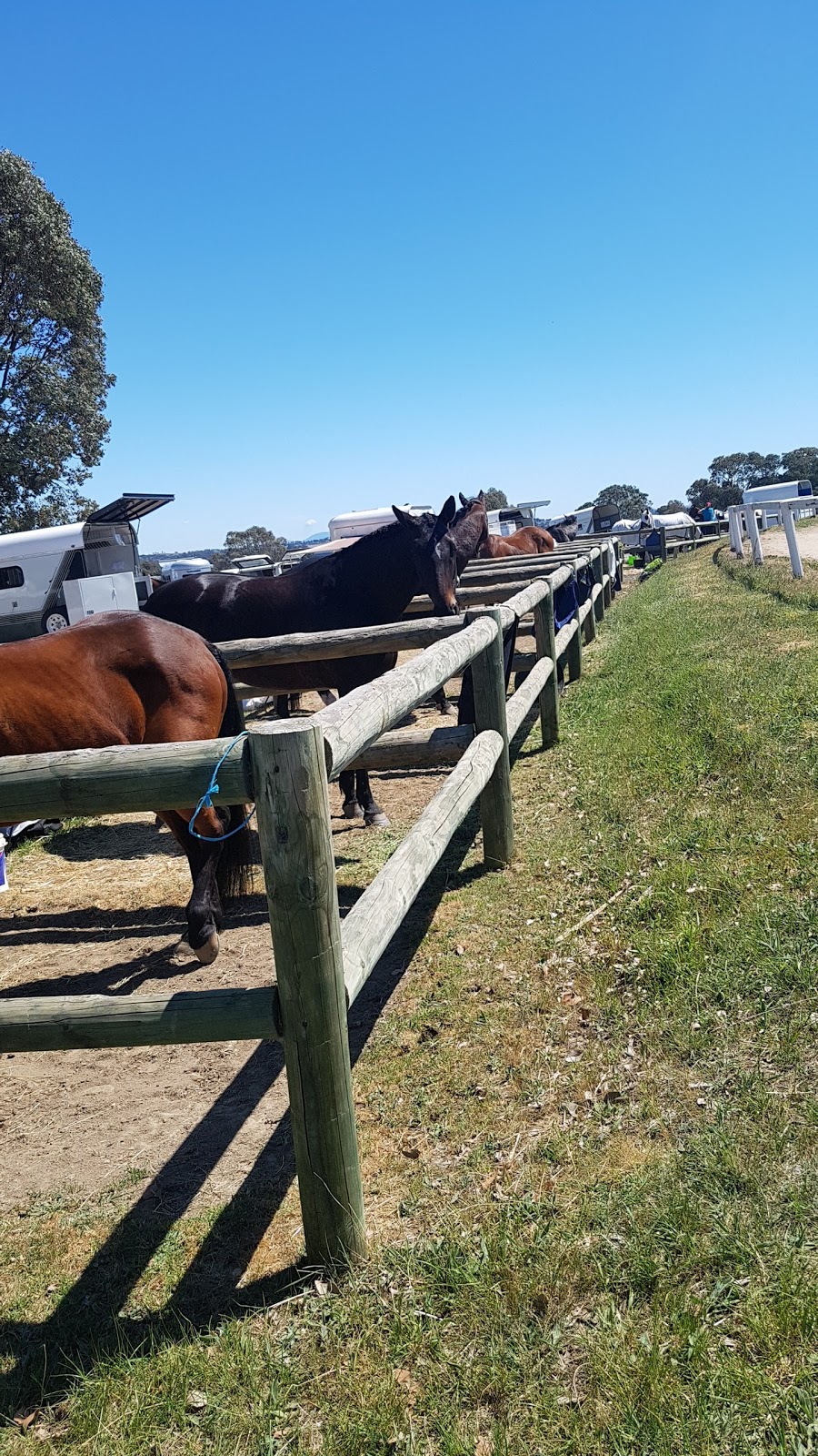 Yarrambat Horse & Pony Club | Yarrambat Park, Yan Yean Rd, Yarrambat VIC 3091, Australia | Phone: 0413 442 287