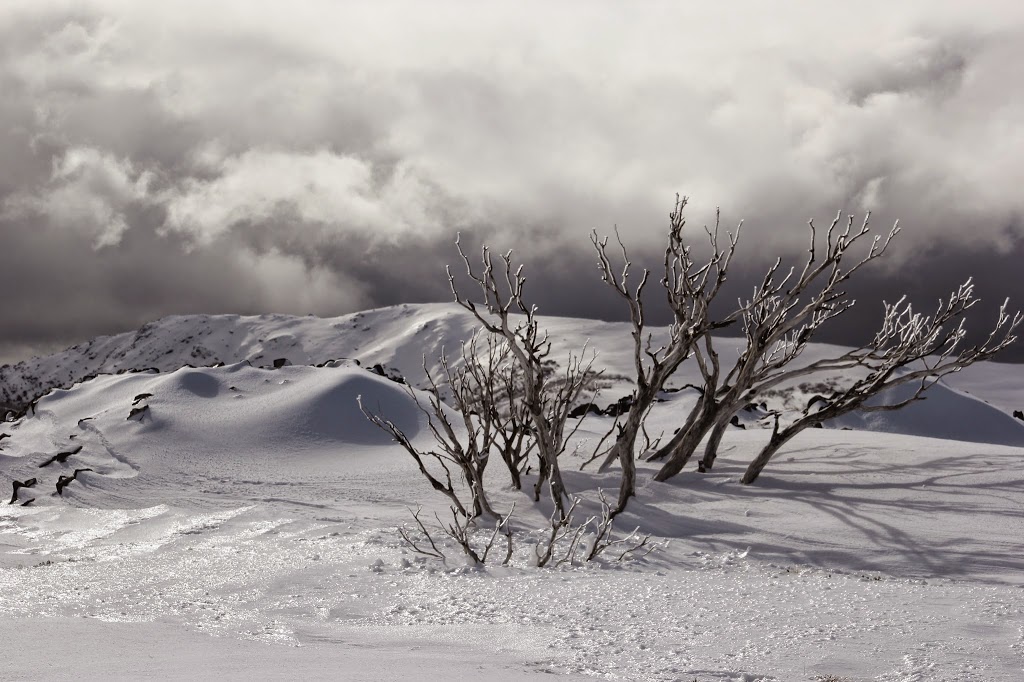 Falls Creek Central Reservations | 1 Bogong High Plains Rd, Falls Creek VIC 3699, Australia | Phone: 1800 033 079