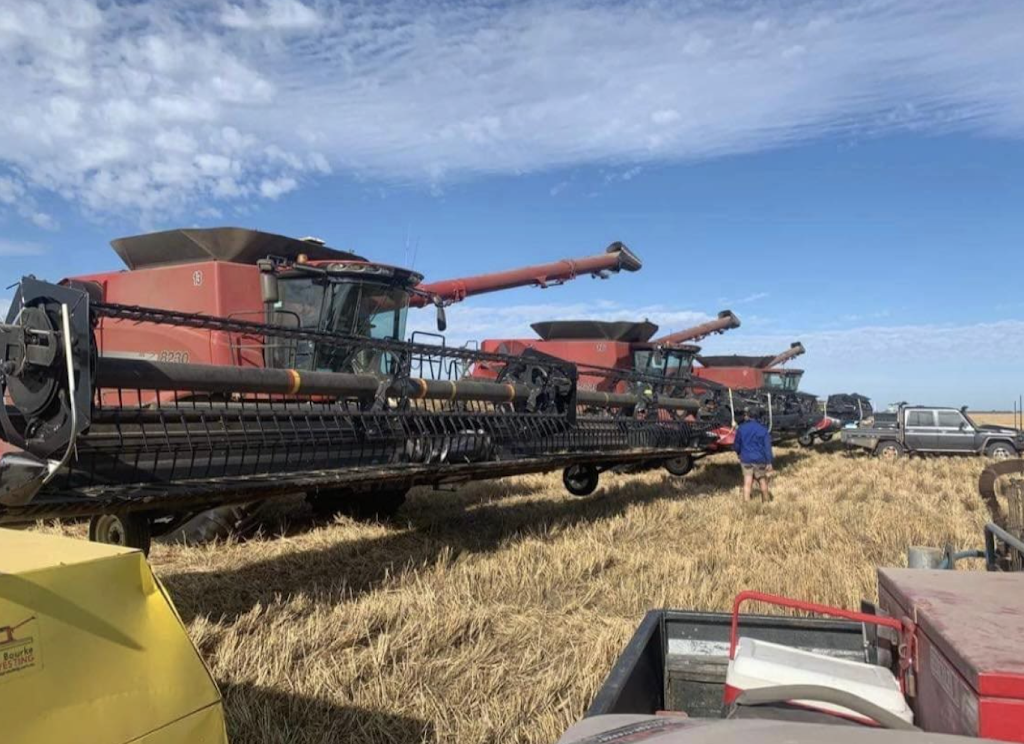 Bourke Harvesting | 2 Burn St, Tungamah VIC 3728, Australia | Phone: 0417 620 383 Bourke Harvesting | 2 Burn St, Tungamah VIC 3728, Australia | Phone: 0417 620 383