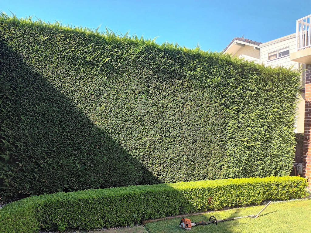 feature trees & perfection hedging | 3, Winston Hills NSW 2153, Australia | Phone: 0430 529 619