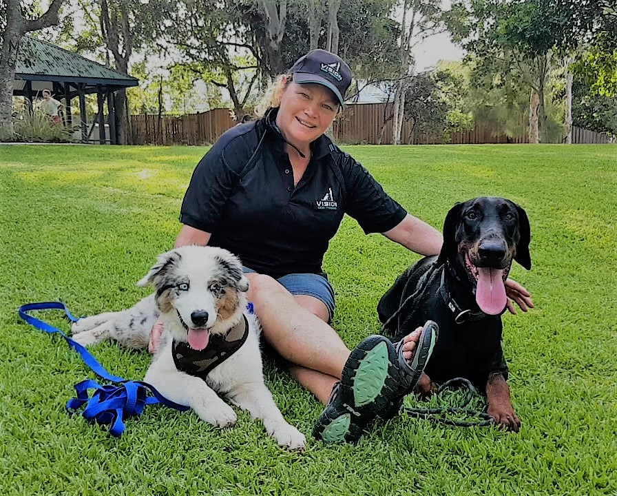 Vision Dog Training | 128 Jakeman Dr, Agnes Water QLD 4677, Australia | Phone: 0400 709 856