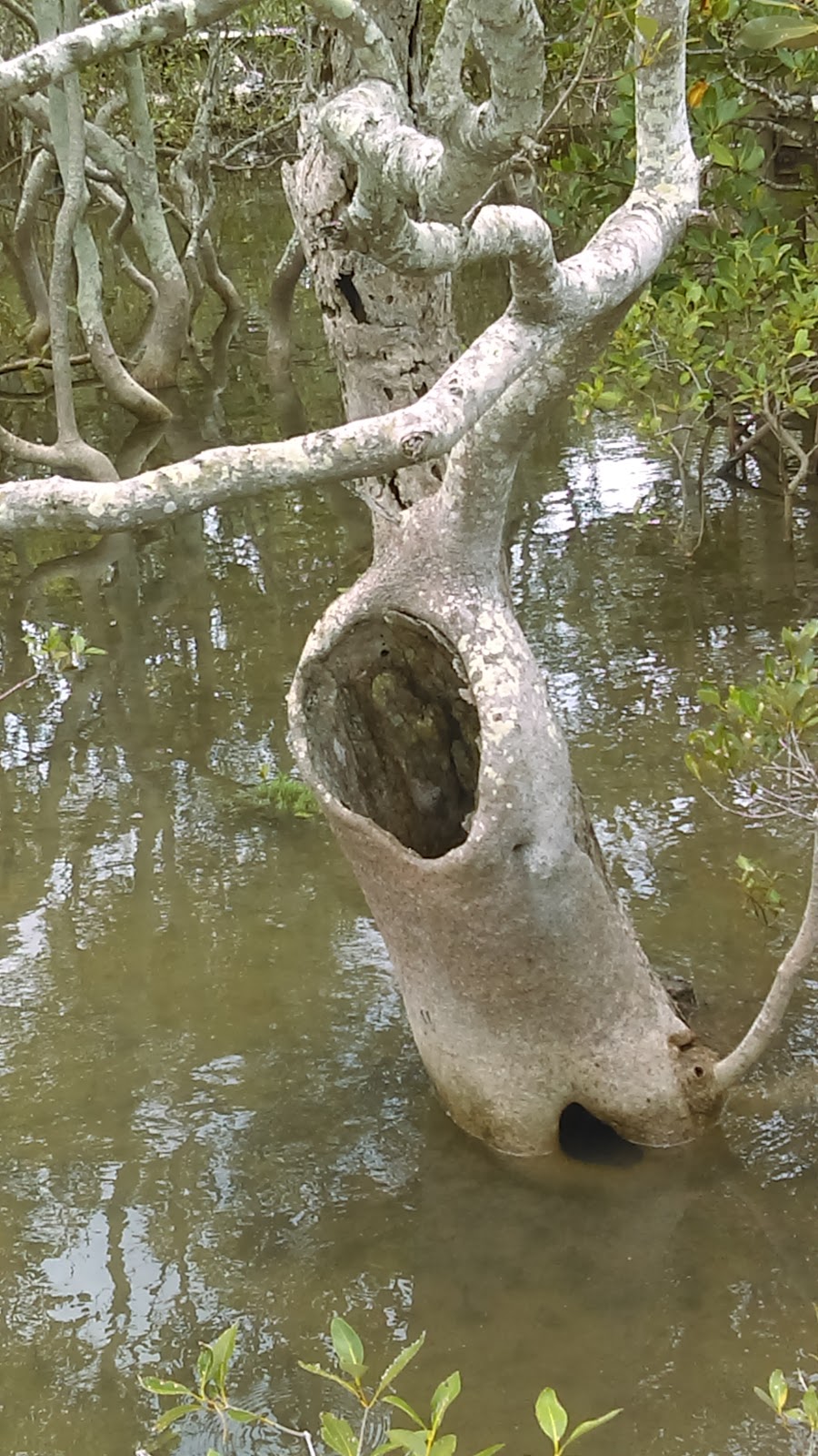 Water Front Park | park | Nudgee Beach QLD 4014, Australia