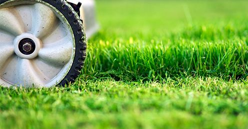 Rods Lawns and More | Goulburn Valley Hwy, Kialla VIC 3631, Australia | Phone: 0400 718 702