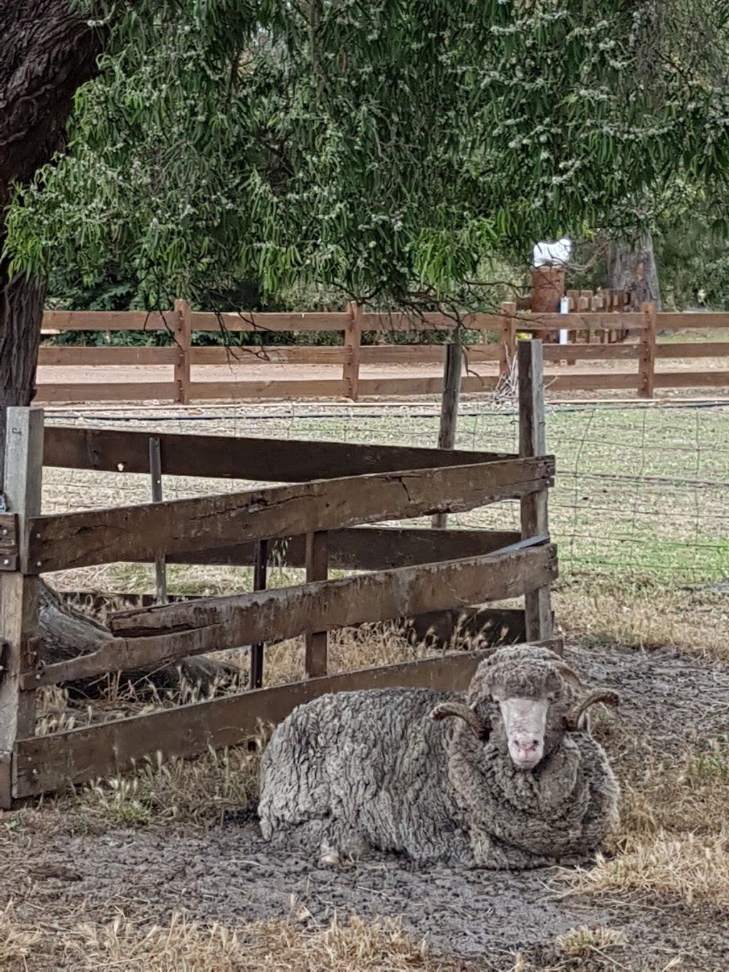 Yallingup Shearing Shed | 1442 Wildwood Rd, Yallingup WA 6282, Australia