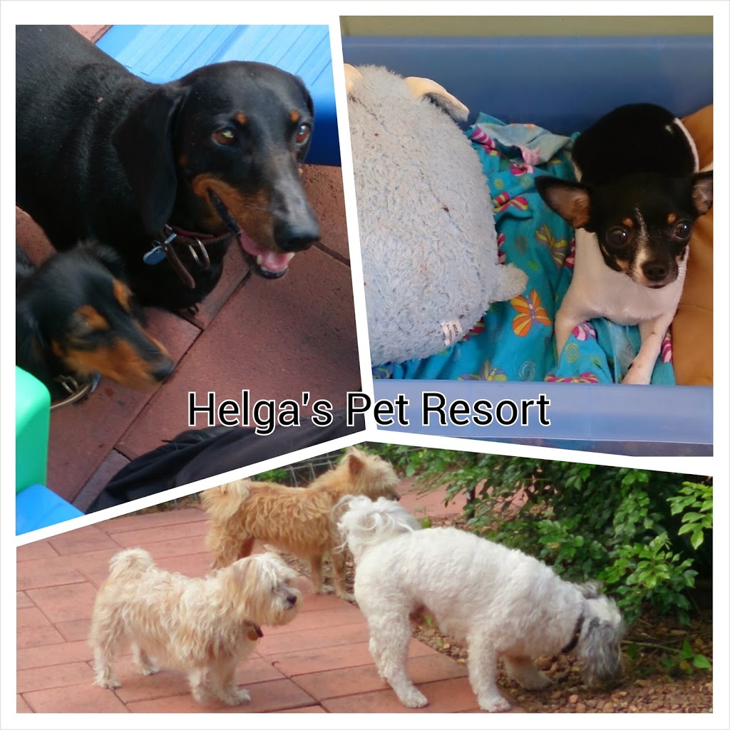 Helgas Pet Resort | veterinary care | 25 Francesca Circuit, Virginia NT 0835, Australia | 0889831717 OR +61 8 8983 1717
