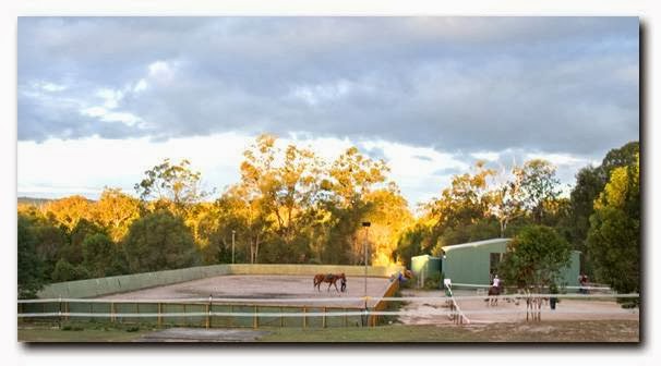 Dove Haven Equestrian Park | 1532 Waterford Tamborine Rd, Logan Village QLD 4207, Australia | Phone: 0402 992 115