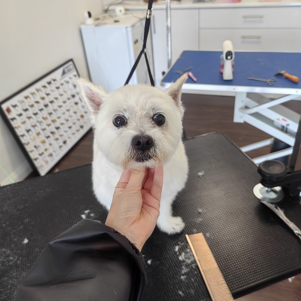 Dreamy Pet Grooming | 142 Greaves Rd, Narre Warren South VIC 3805, Australia | Phone: 0450 801 015