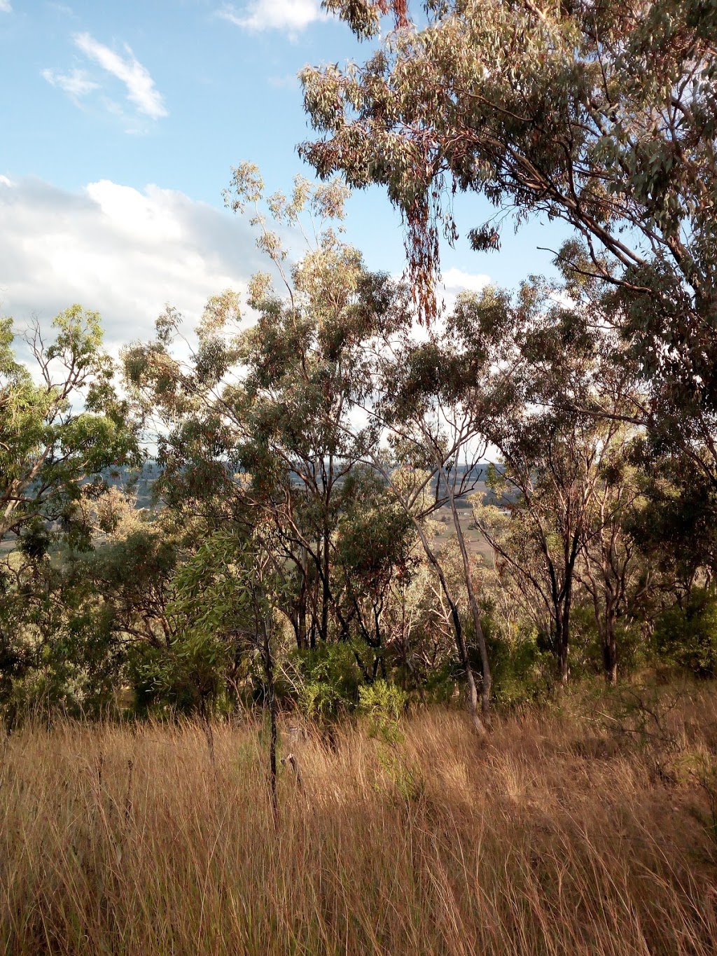 Inverell Lawncare | 23 Clancys Dr, Inverell NSW 2360, Australia | Phone: 0429 185 300