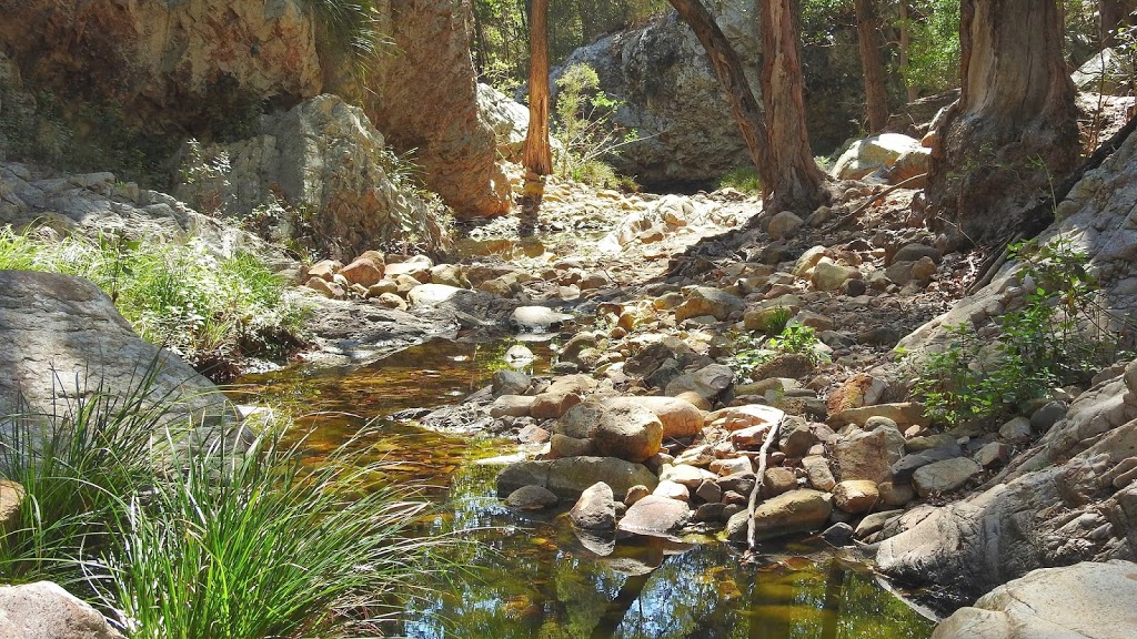Waterfall Creek Reserve Camping Ground | Waterfall Creek Rd, Maroon QLD 4310, Australia | Phone: (07) 5540 5111